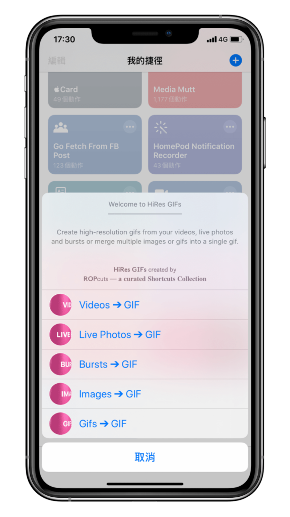 iPhone 一鍵將照片、影片轉高畫質 GIF (iOS 13 捷徑教學) - 轉換類型