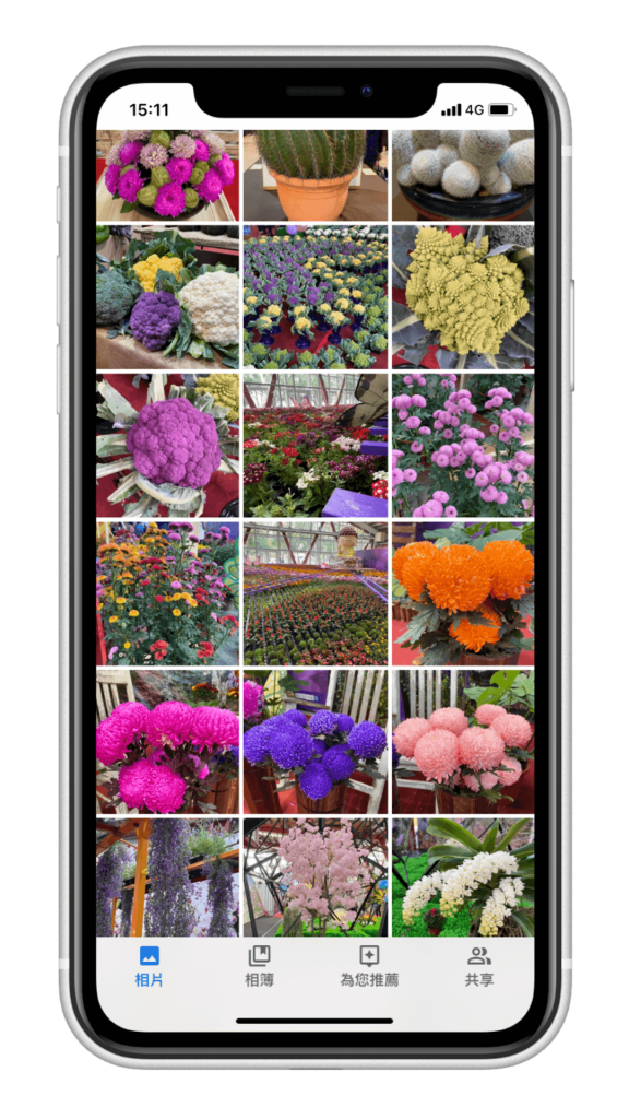 Google 相簿 App - 辨識花草植物 - 選擇照片
