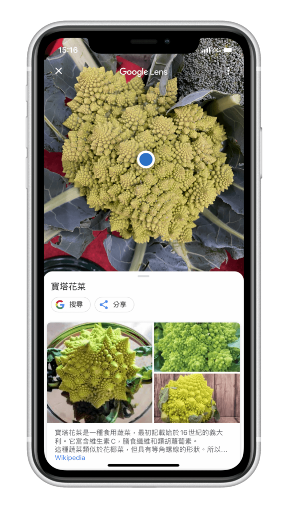 Google 相簿 App - 辨識花草植物 - 瞬間辨識
