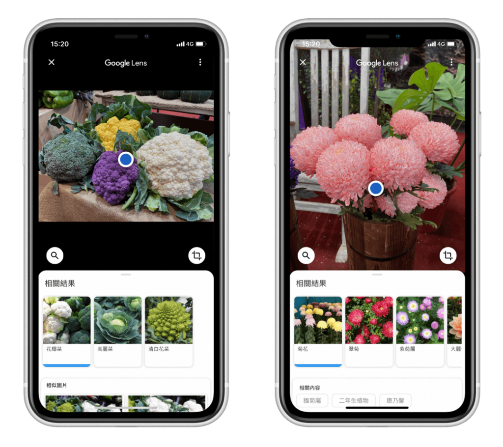 Google 相簿 App - 辨識花草植物