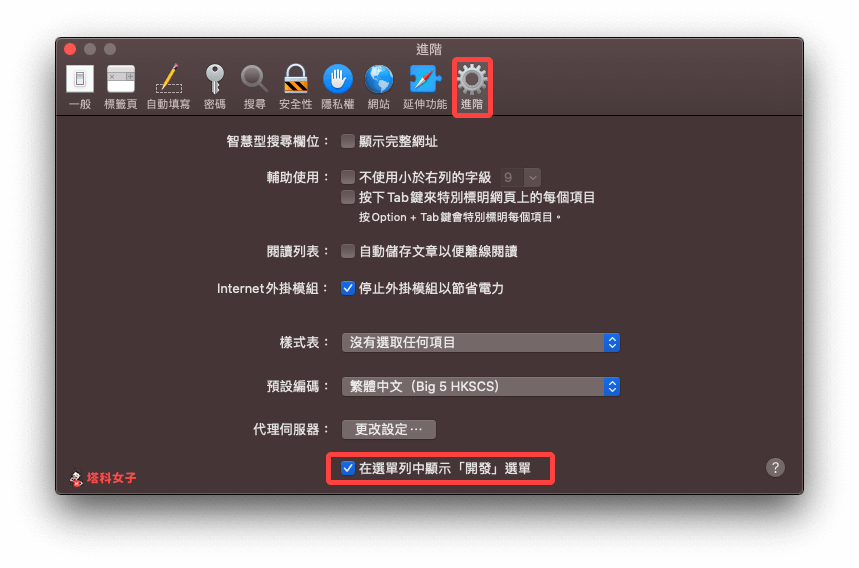 Mac 使用 IE 瀏覽器｜Safari 偏好設定 開發選單