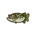 動森 白斑狗魚