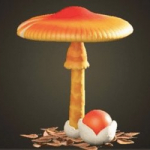 動森蘑菇 DIY 方程式｜蘑菇陽傘