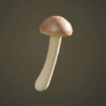 動森蘑菇 DIY 方程式｜蘑菇棒