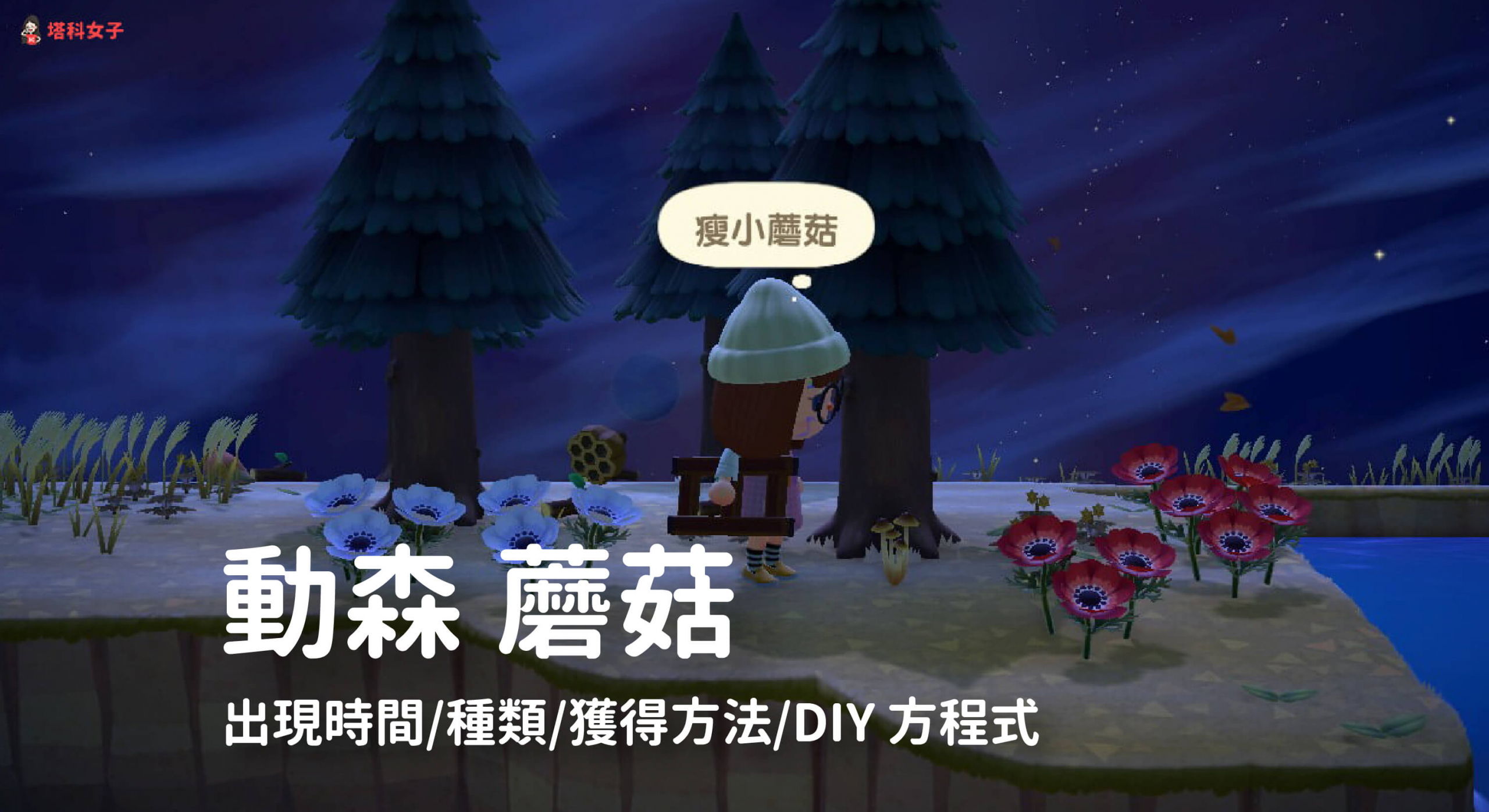 動森 蘑菇｜時間、種類、獲得方法、蘑菇家具 DIY 方程式
