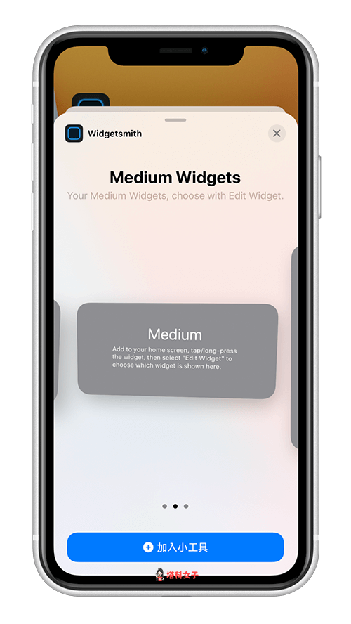 新增 Widgetsmith 到 iPhone 主畫面 選擇尺寸