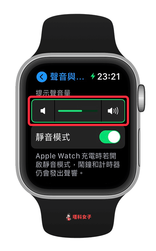 Apple Watch 更改鈴聲大小：調整音量