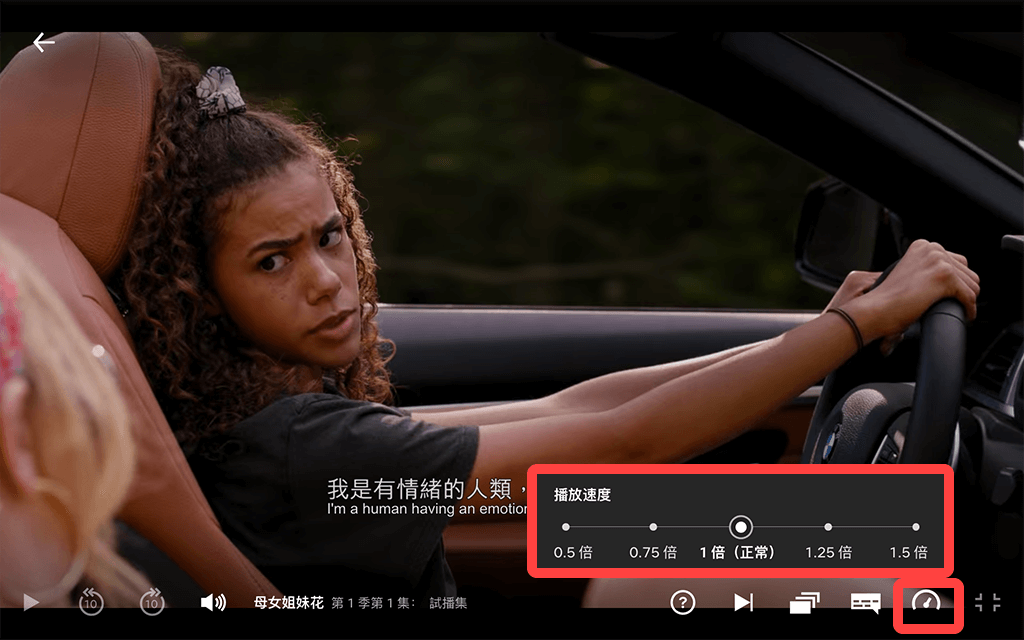 Netflix 更改播放速度、倍速