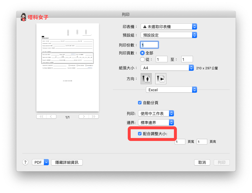 Excel 列印範圍設定，避免表格跑掉：勾選「配合調整大小」