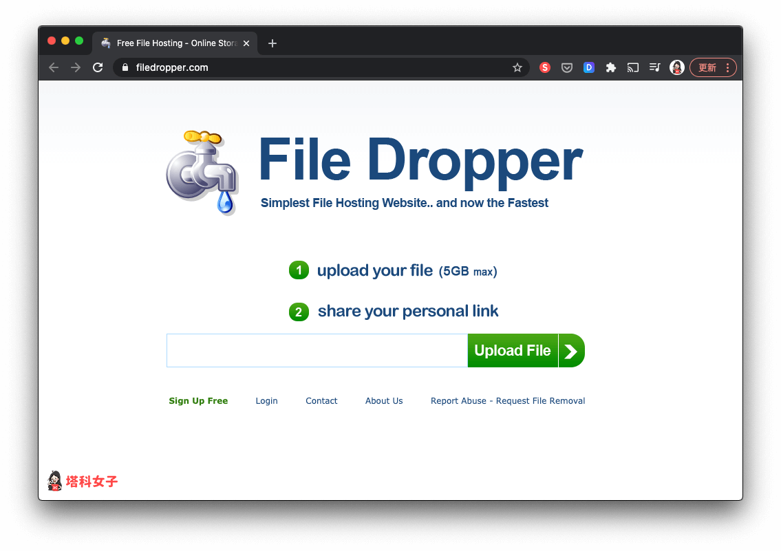 匿名檔案分享平台：File Dropper