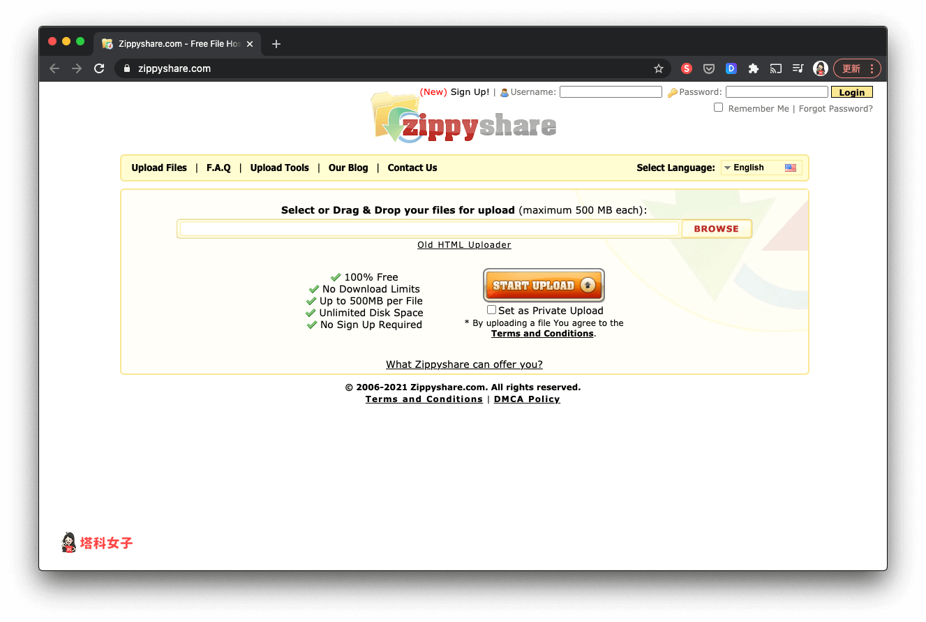 匿名檔案分享平台：zippyshare