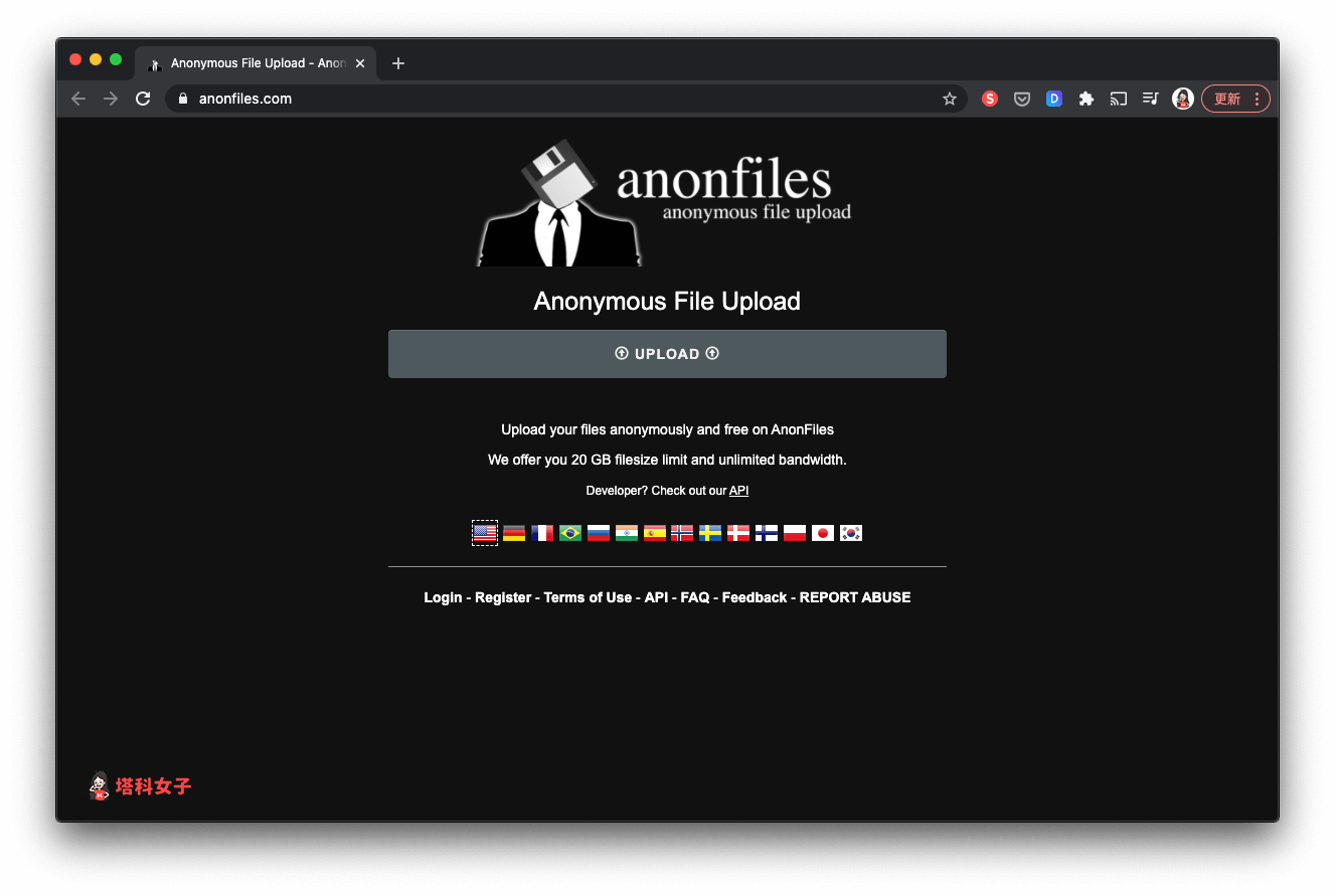 匿名檔案分享平台：anonfiles