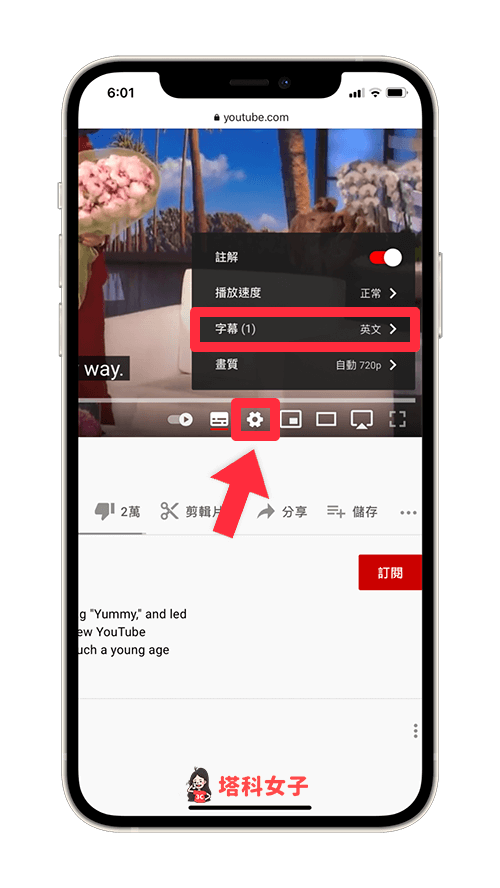 YouTube 手機版 字幕自動翻譯：點選設定 > 字幕