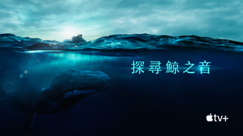Apple TV+ 七月片單推薦：《探尋鯨之音》