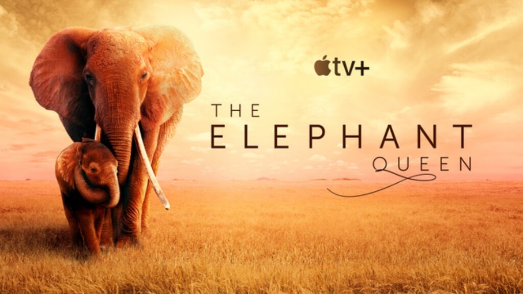 Apple TV+ 七月片單推薦：《象群女王》