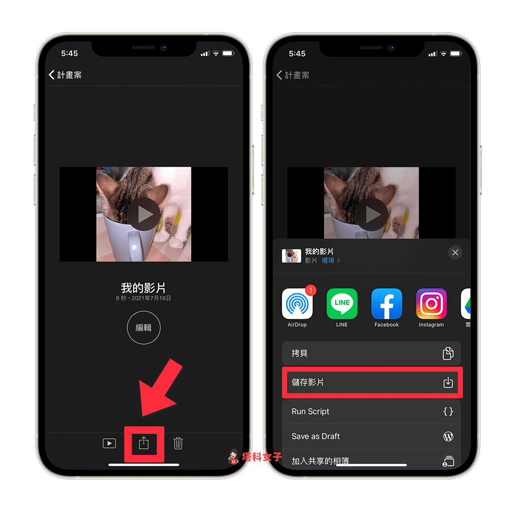 點選「分享」後選擇「儲存影片」即可將影片儲存到 照片 App