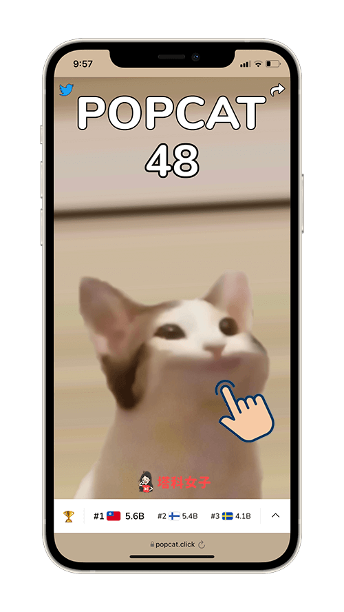 在 iPhone 或 Android 開啟 popcat.click 網頁，按一下貓咪即可加一分