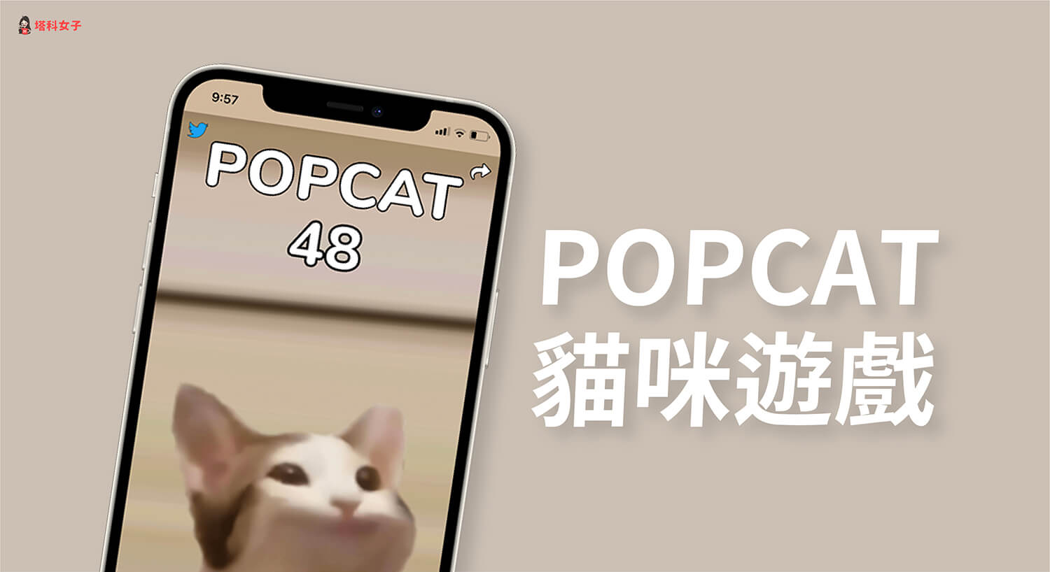 Popcat 是什麼？怎麼玩？Popcat Click 貓咪遊戲台灣全球排名第一！