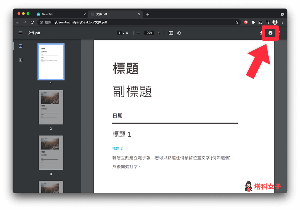 Chrome 瀏覽器就會開啟該 PDF，點選右上角的「列印」