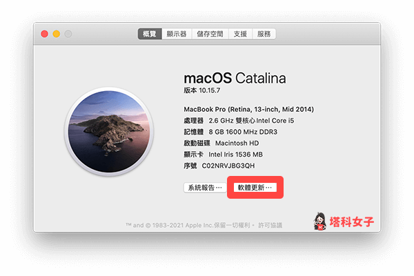 將 Mac 更新至最新版本