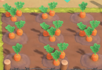 動森農作物及蔬菜：胡蘿蔔