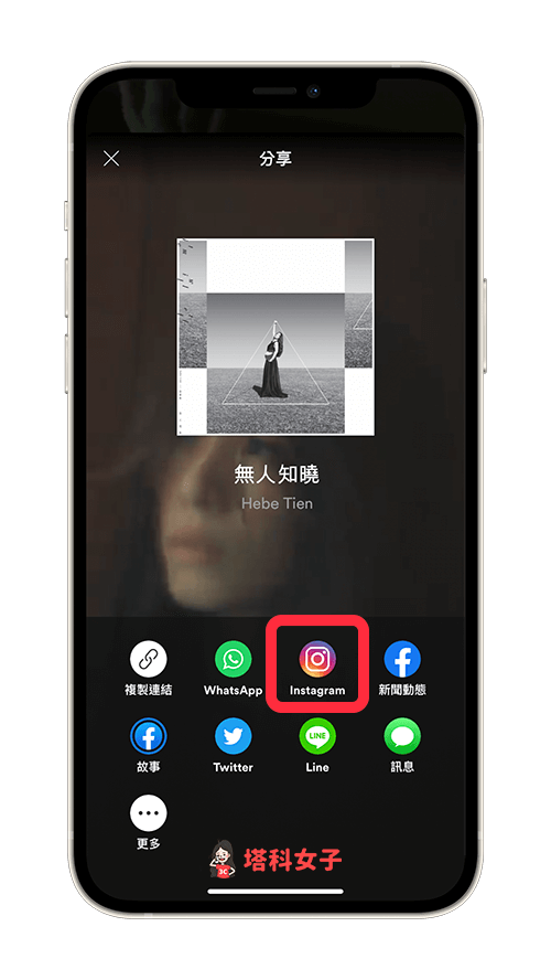 Spotify 分享到 IG 限時動態：點選「Instagram」