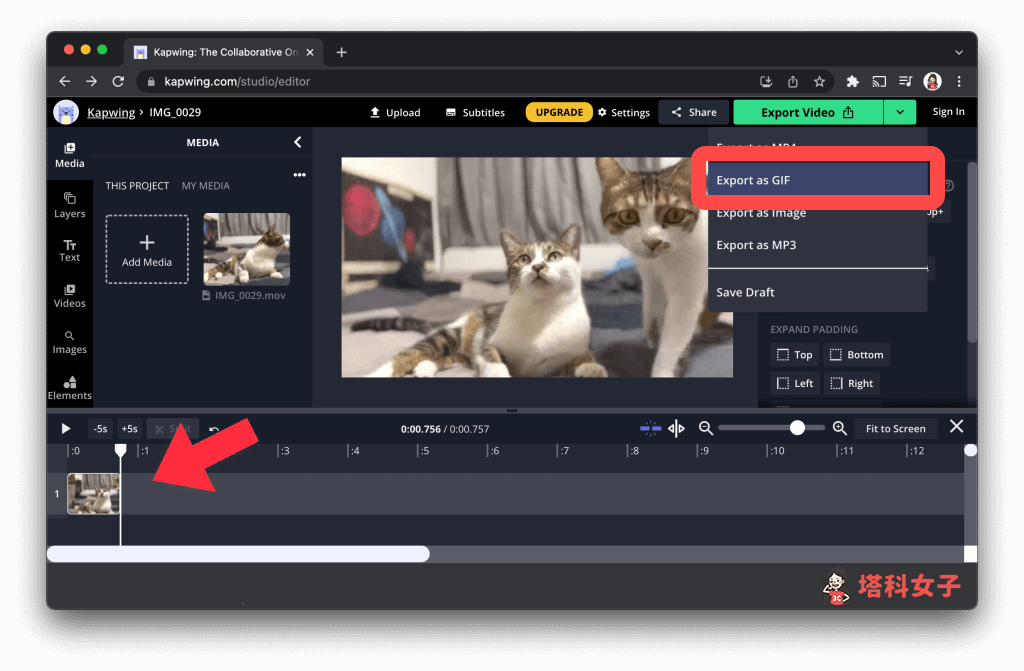 Kapwing 線上影片編輯與轉換工具（影片轉GIF）：剪輯並編輯 Export as GIF