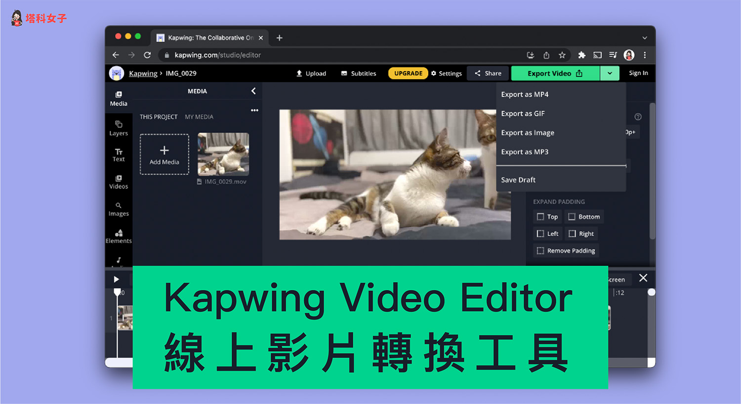 Kapwing 線上影片編輯/轉換工具，將影片轉MP3、MP4、JPG、GIF