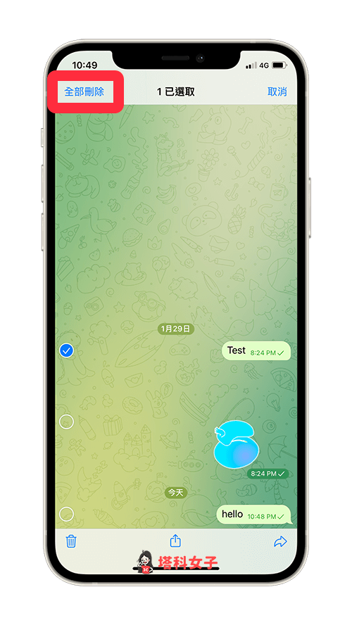 Telegram自動刪除訊息 (iOS)：全部刪除