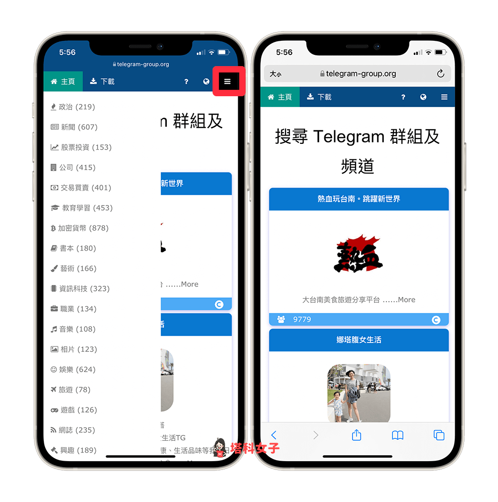 Telegram 群 组