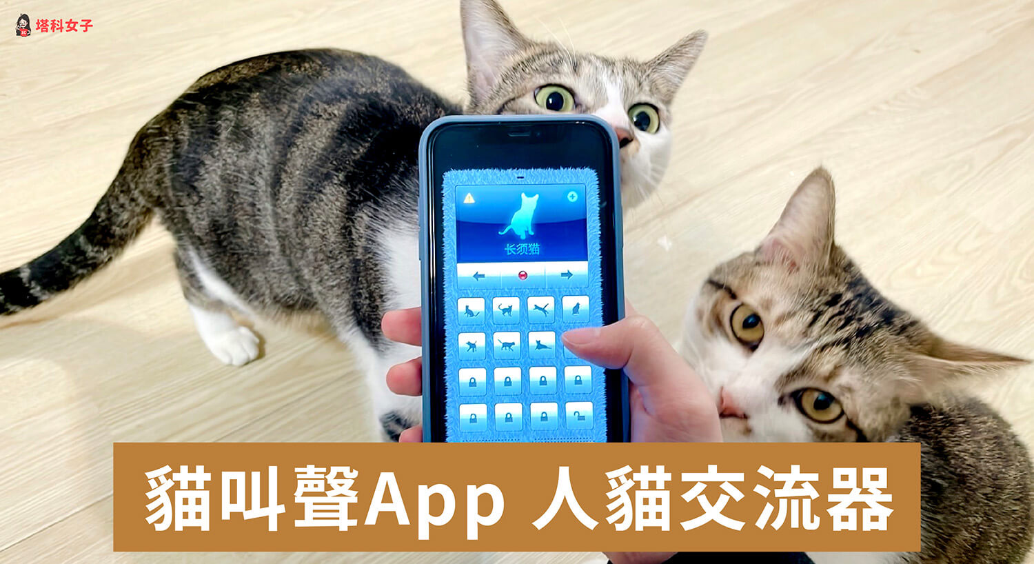 貓叫聲 App「人貓交流器」內建 96 種貓叫聲吸引貓咪注意 (效果實測)