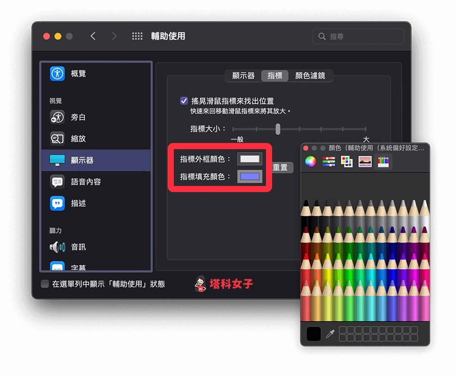更改 Mac 游標顏色：更改外框或填充顏色