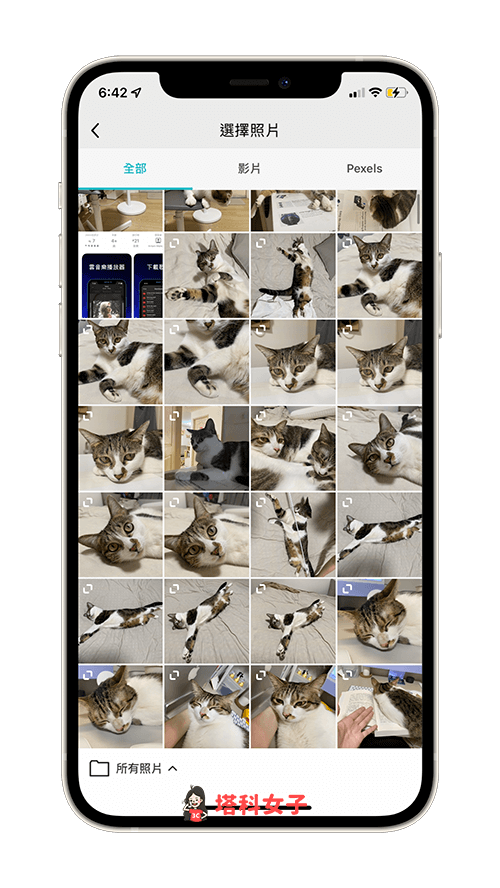 照片裁切 App《PhotoGrid》裁剪圓形、方形、愛心等各種形狀與比例 - Android APP, iOS APP, iPhone 照片, 照片 App, 照片編輯 App, 照片裁切 App - 塔科女子