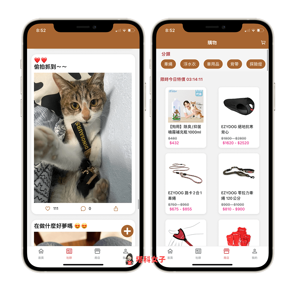 寵物友善空間 App《Petboo》: 社群與購物