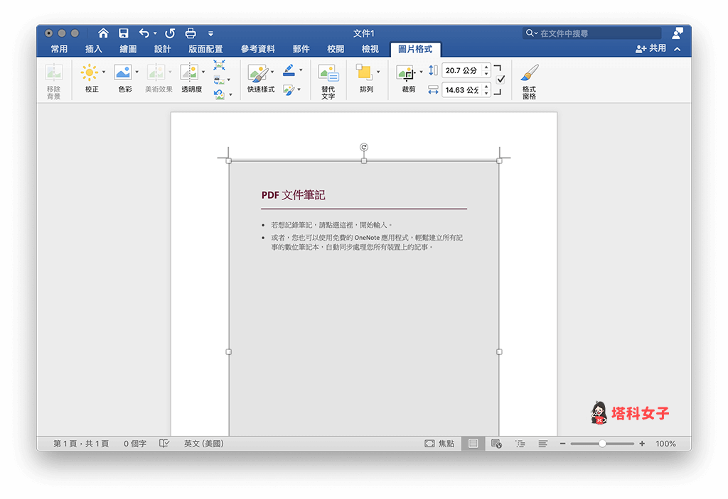 Word 插入 PDF 文件