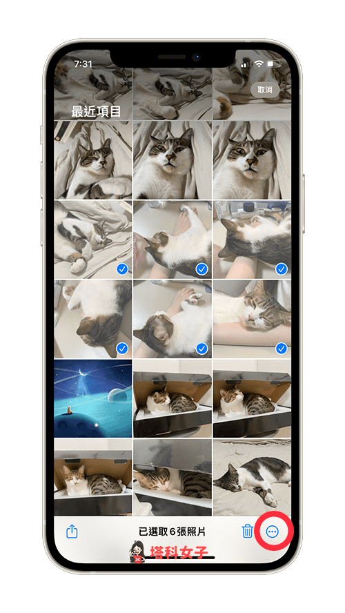 iOS 16 照片批量編輯調色：勾選多張照片