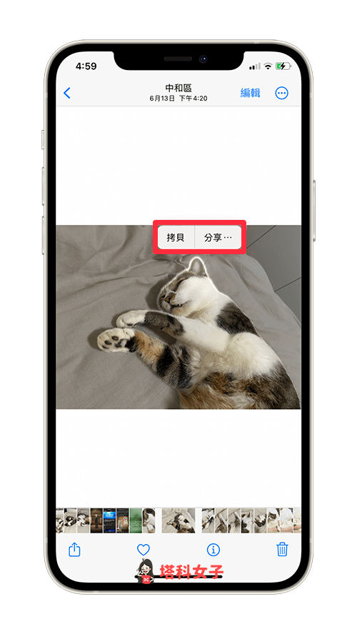 iOS 16 為 iPhone 照片摳圖去背：拷貝或分享