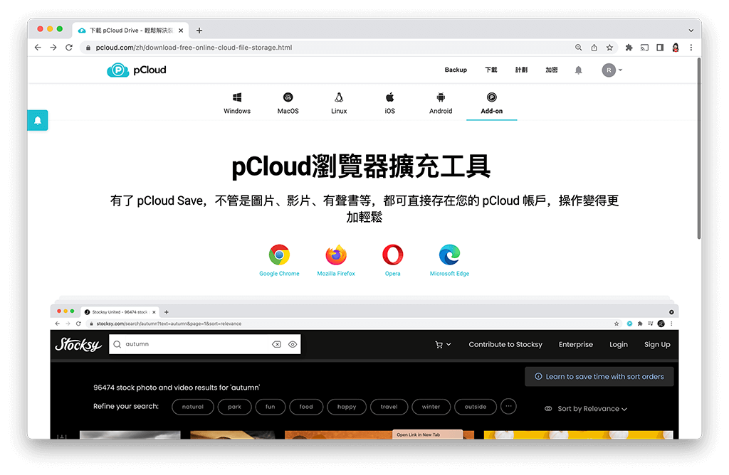 pCloud 支援各平台