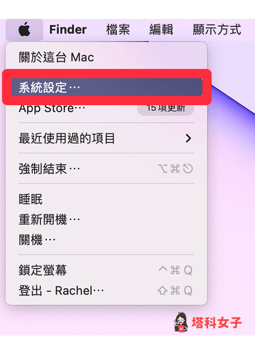 設定 Mac 上的 iCloud 雲碟：系統設定