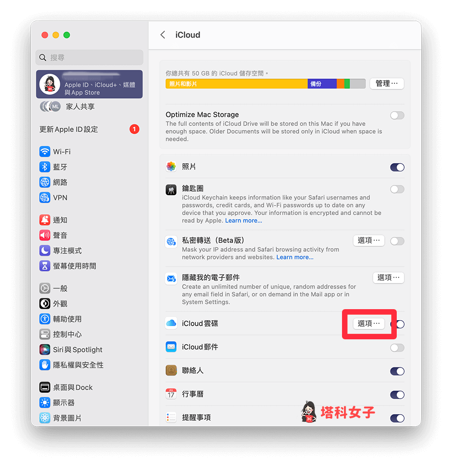設定 Mac 上的 iCloud 雲碟：iCloud 雲碟選項