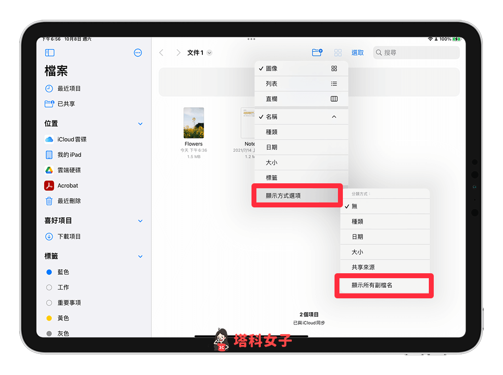 更改 iPad 檔案副檔名：點選「顯示方式選項」>「顯示所有副檔名」