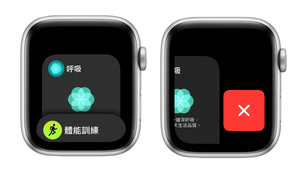 Apple Watch Dock App 關閉