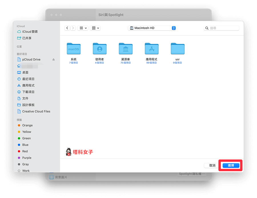 在 Mac 的 Spotlight 搜尋隱藏檔案：選擇