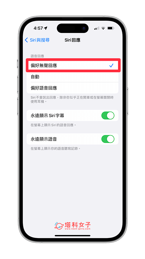 iOS 16.2 更新功能 8：Siri 無聲回應