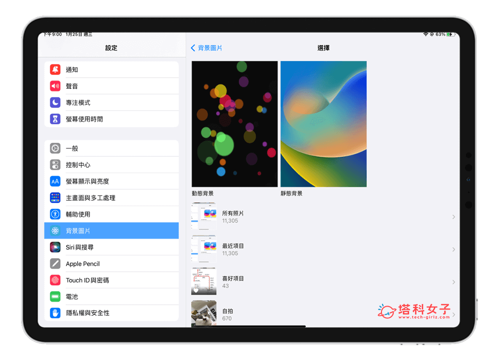 在「設定」為 iPad 桌布更換：選擇照片