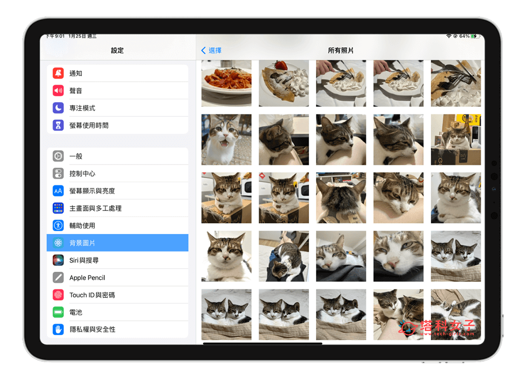 在「設定」為 iPad 桌布更換：選擇照片