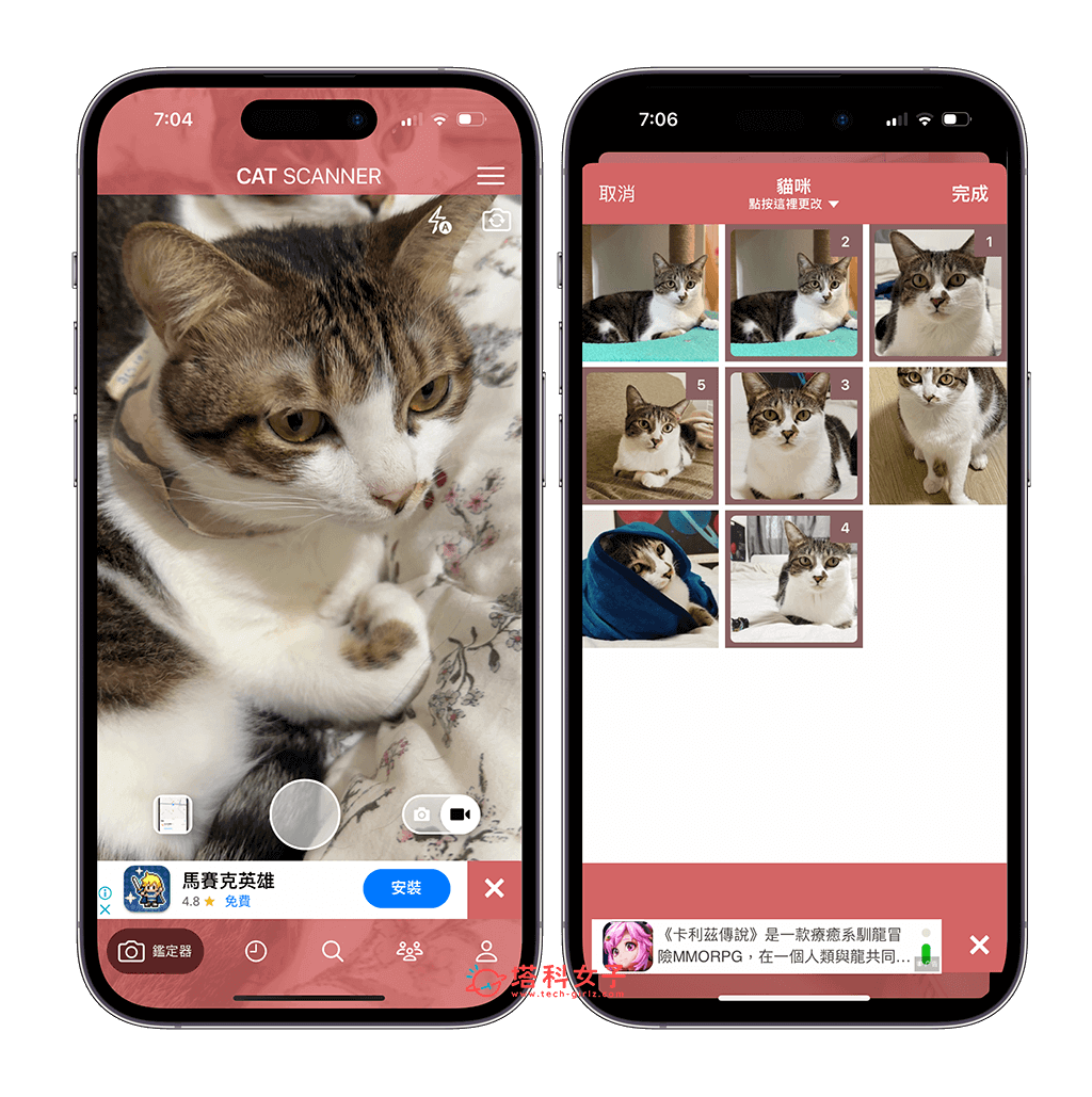 貓咪鑑定器 App 介紹與教學：拍照或上傳照片