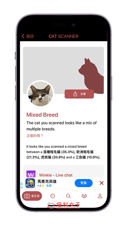 貓咪鑑定器 App 介紹與教學：鑑定結果