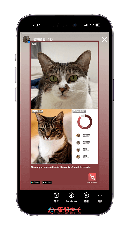 貓咪鑑定器 App 介紹與教學：分享或上傳到 ig 限時動態