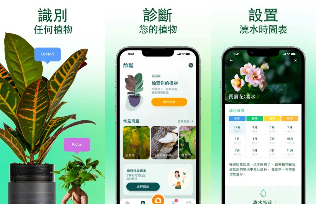 植物辨識 App 推薦 3：愛自然 ID (NatureID)
